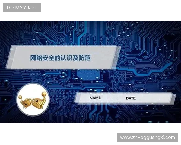 电子pg导航的安全性与隐私保护措施详解确保玩家个人信息安全与游戏体验无忧的最佳实践